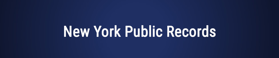 new york public records / background checks