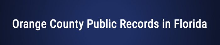 florida drivers record check