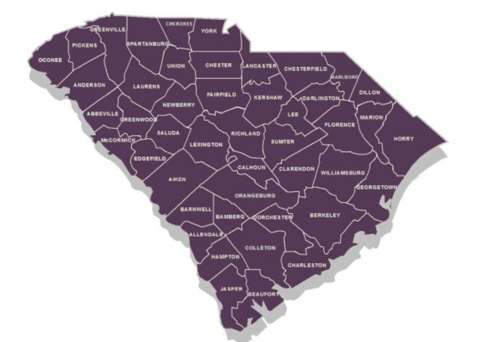 South Carolina Background Checks (2022 Guide) 