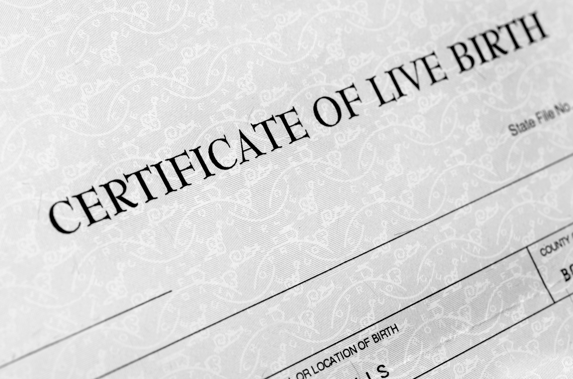Free Public Records Online Public Records Search Find Public Records